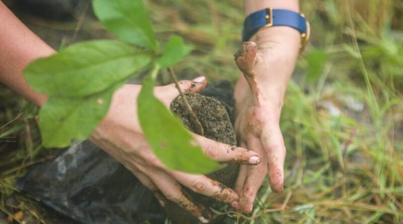 Reforestación en Quito – Unidos somos más