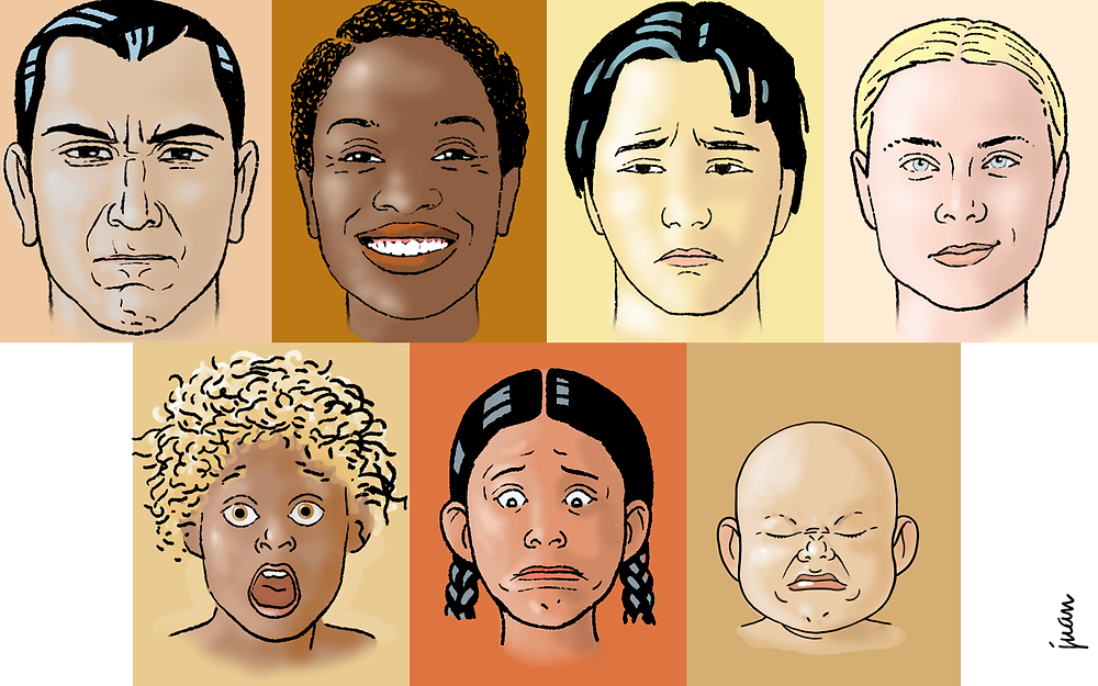 Predicción de Reacciones de Compra con IA y Micro expresiones Faciales