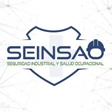 Relato de experiencia – SEINSAO